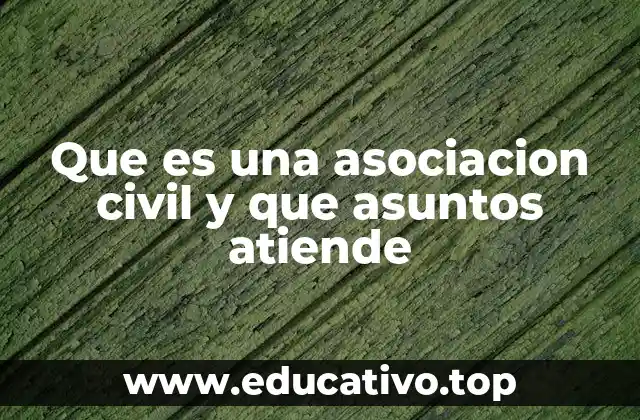 Que es una asociacion civil y que asuntos atiende
