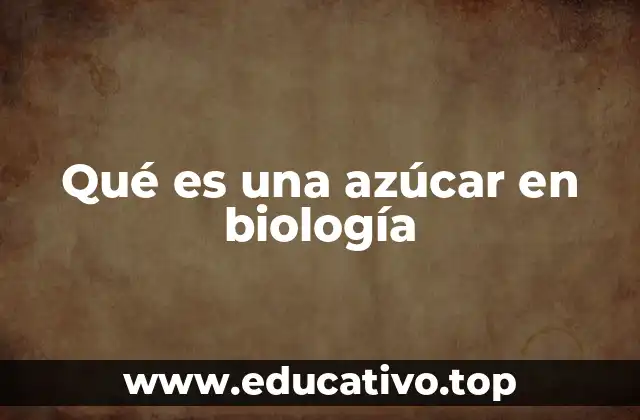 Qué es una azúcar en biología