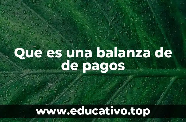 Que es una balanza de de pagos