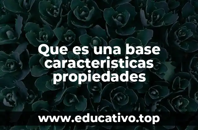 Que es una base caracteristicas propiedades