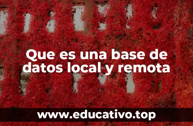 Que es una base de datos local y remota