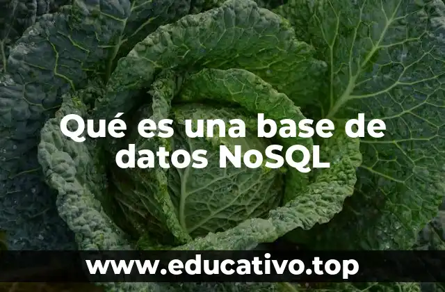 ¿Cómo funcionan las bases de datos NoSQL?