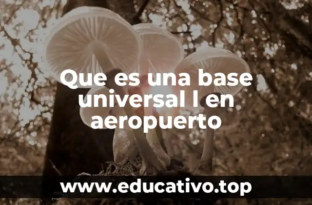 Que es una base universal l en aeropuerto