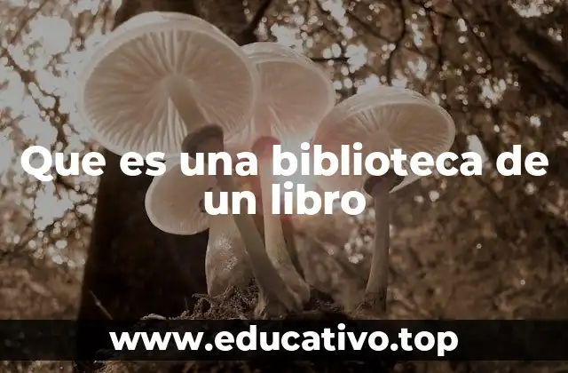 Que es una biblioteca de un libro