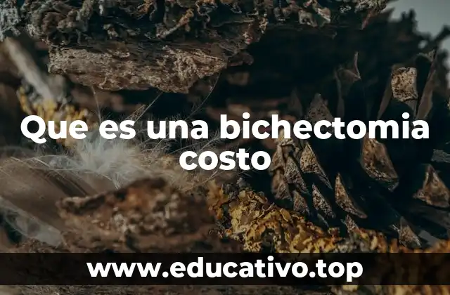 Factores que influyen en el costo de la bichectomía
