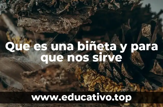 Que es una biñeta y para que nos sirve