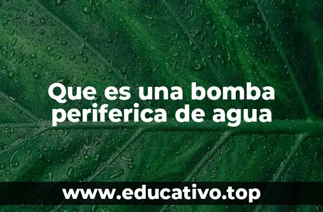 Que es una bomba periferica de agua