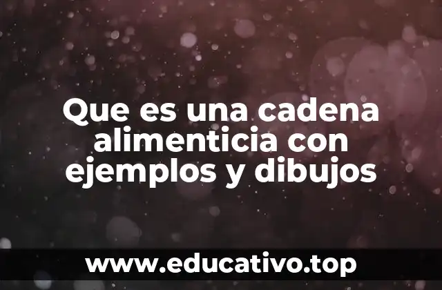 Cómo se forma una cadena alimenticia