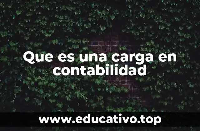 El papel de las cargas en el análisis financiero