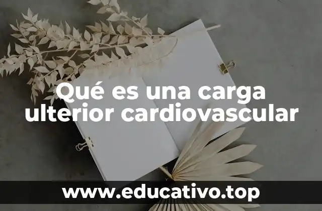 Factores que pueden incrementar la carga cardiovascular