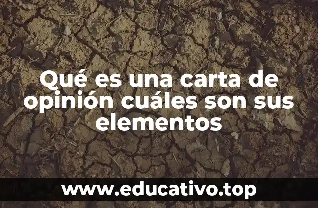 La importancia de estructurar una carta de opinión correctamente