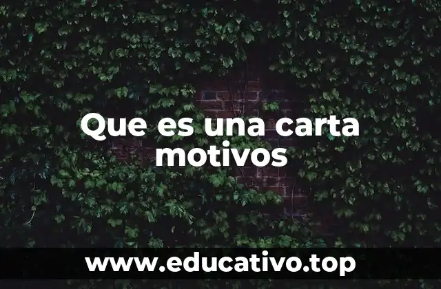 Que es una carta motivos