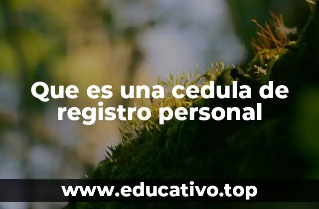 La importancia de contar con un documento de identidad único