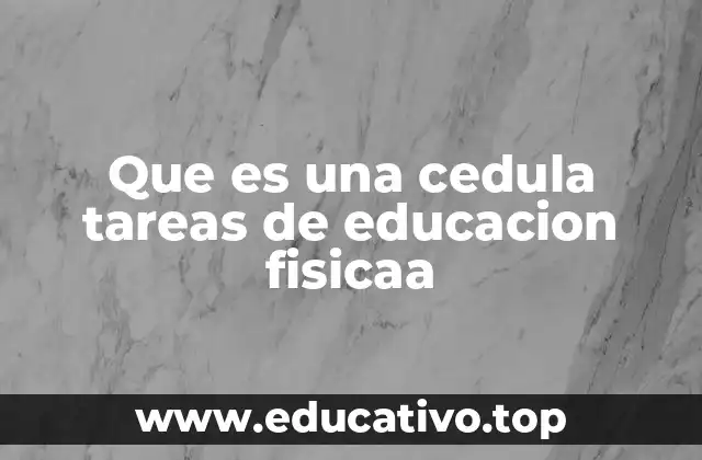 La importancia de las tareas en la educación física