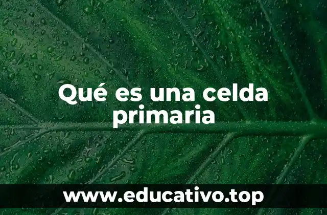 La importancia de las celdas primarias en la investigación científica