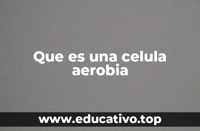 Que es una celula aerobia