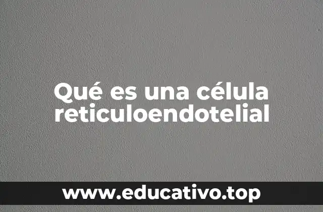 El papel de las células reticuloendoteliales en el sistema inmunitario