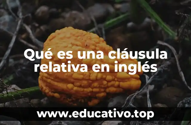 Qué es una cláusula relativa en inglés