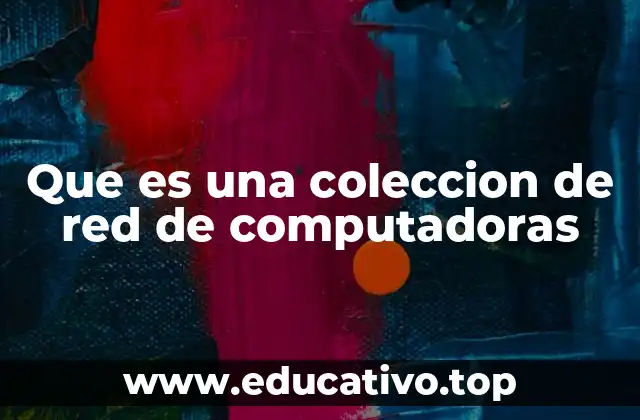 Que es una coleccion de red de computadoras