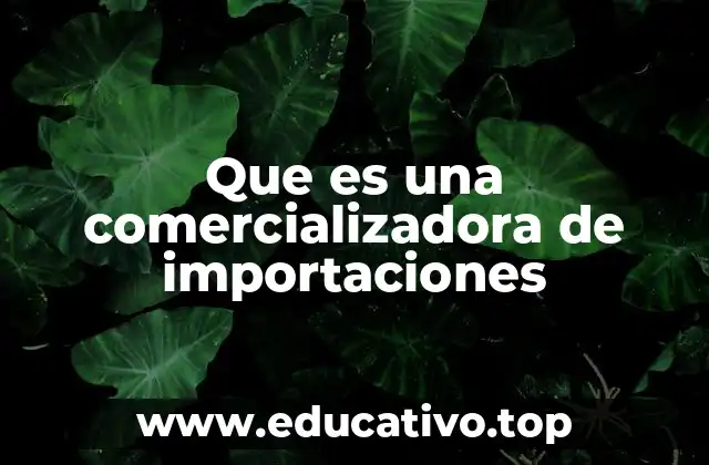 Que es una comercializadora de importaciones