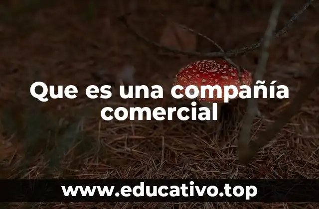 Que es una compañía comercial