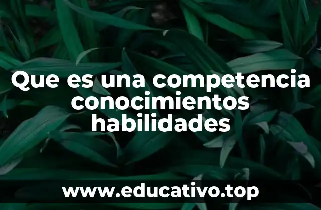 La importancia de integrar conocimientos y habilidades en el desarrollo profesional