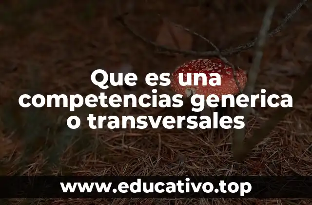 Que es una competencias generica o transversales
