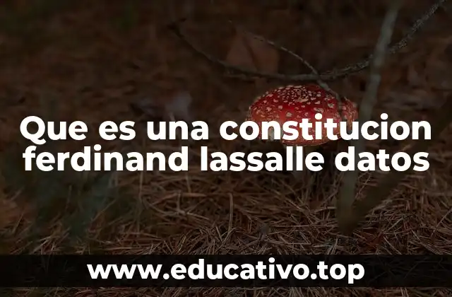 Que es una constitucion ferdinand lassalle datos