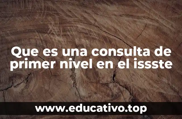 Que es una consulta de primer nivel en el issste