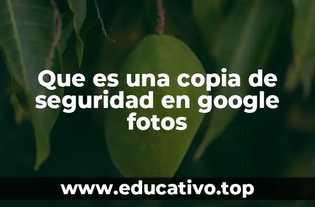 Que es una copia de seguridad en google fotos