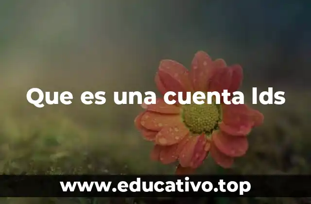 Que es una cuenta lds