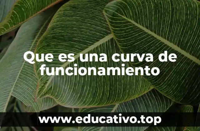 Que es una curva de funcionamiento