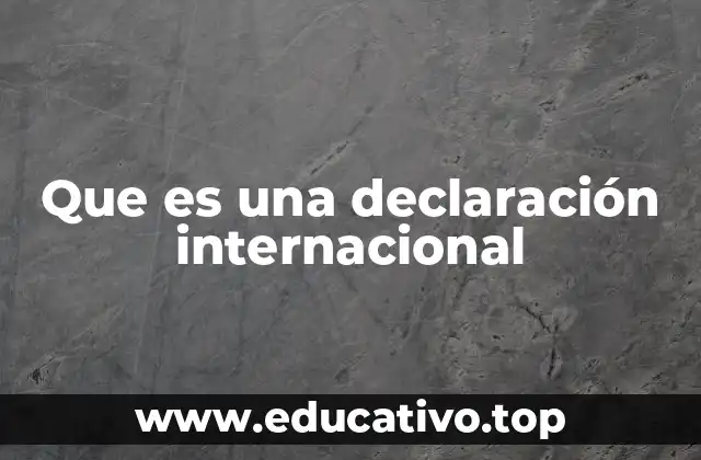 Que es una declaración internacional