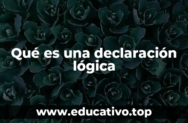El papel de las declaraciones lógicas en la construcción de argumentos