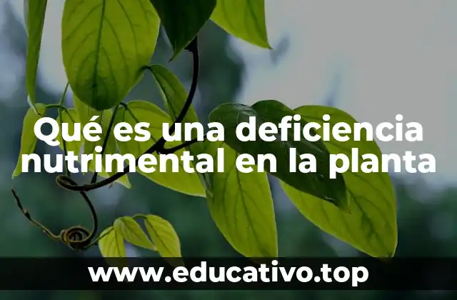 Qué es una deficiencia nutrimental en la planta