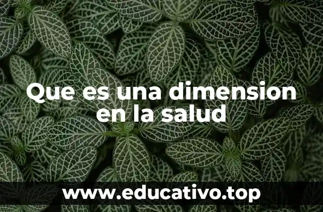 La evolución del concepto de salud multidimensional