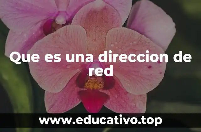 Que es una direccion de red