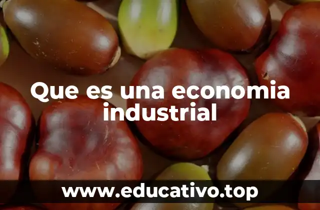 Que es una economia industrial