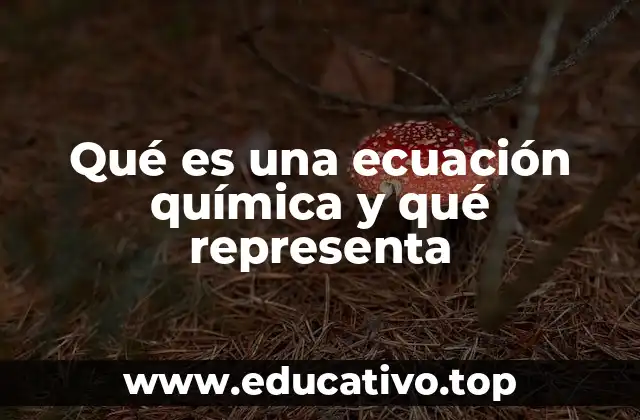 Qué es una ecuación química y qué representa