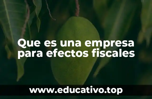 Que es una empresa para efectos fiscales