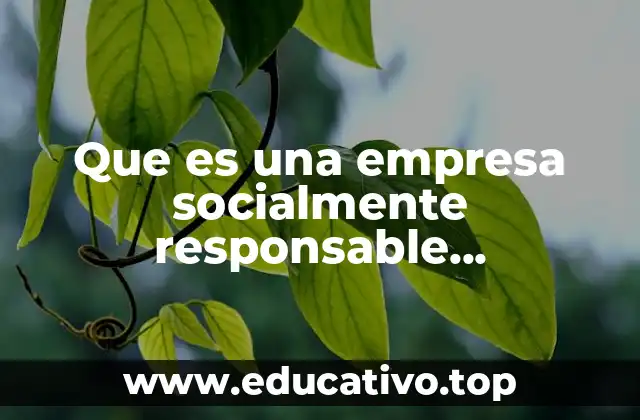 Los fundamentos legales de la responsabilidad social empresarial
