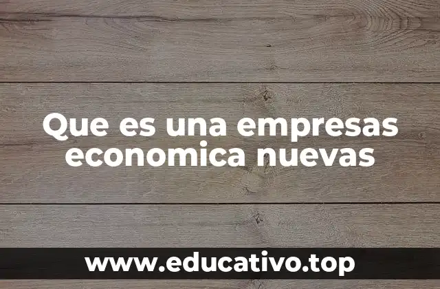 Que es una empresas economica nuevas