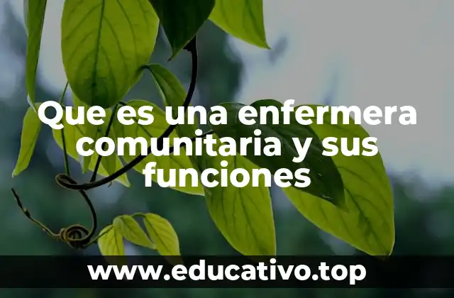 Que es una enfermera comunitaria y sus funciones