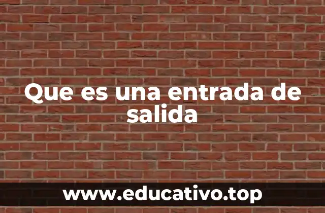 Que es una entrada de salida