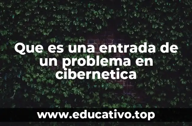 Que es una entrada de un problema en cibernetica