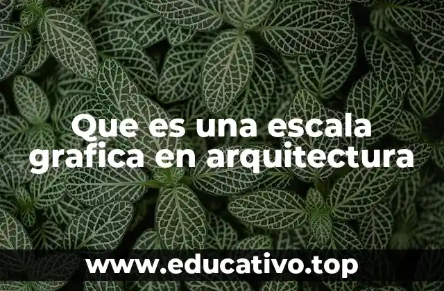 Que es una escala grafica en arquitectura