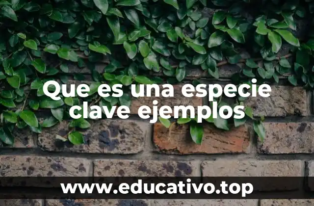 Que es una especie clave ejemplos