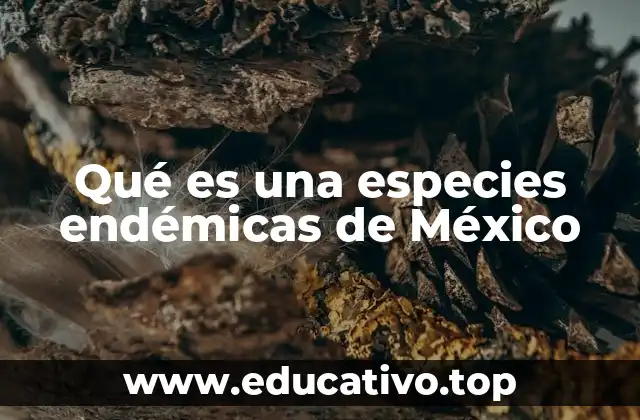 Qué es una especies endémicas de México
