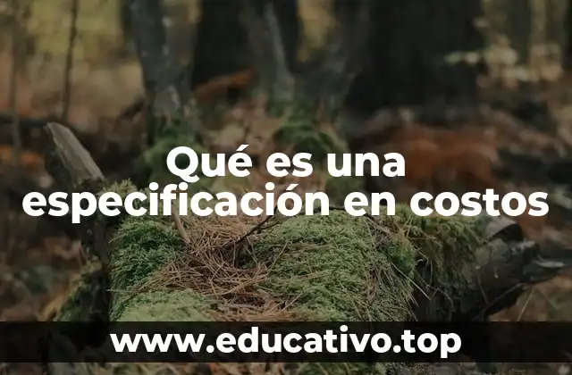 Qué es una especificación en costos