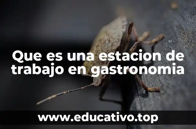 La importancia de la organización en la cocina profesional